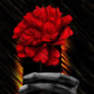 Meet your Posher, Russell